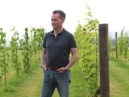 Irish Wine Estates: Pioneering Ireland’s Cool-Climate Wine Future
