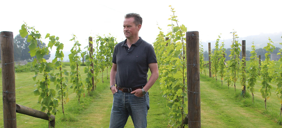 Irish Wine Estates: Pioneering Ireland’s Cool-Climate Wine Future
