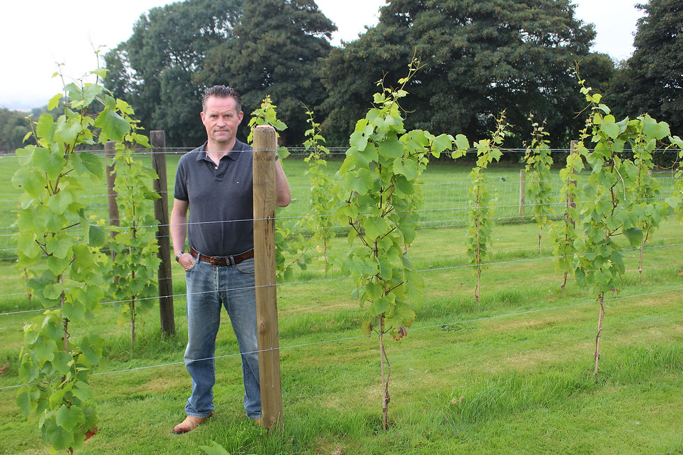 Irish Wine Estates