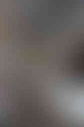 Delice Et Chocolat In Ardmore Interior