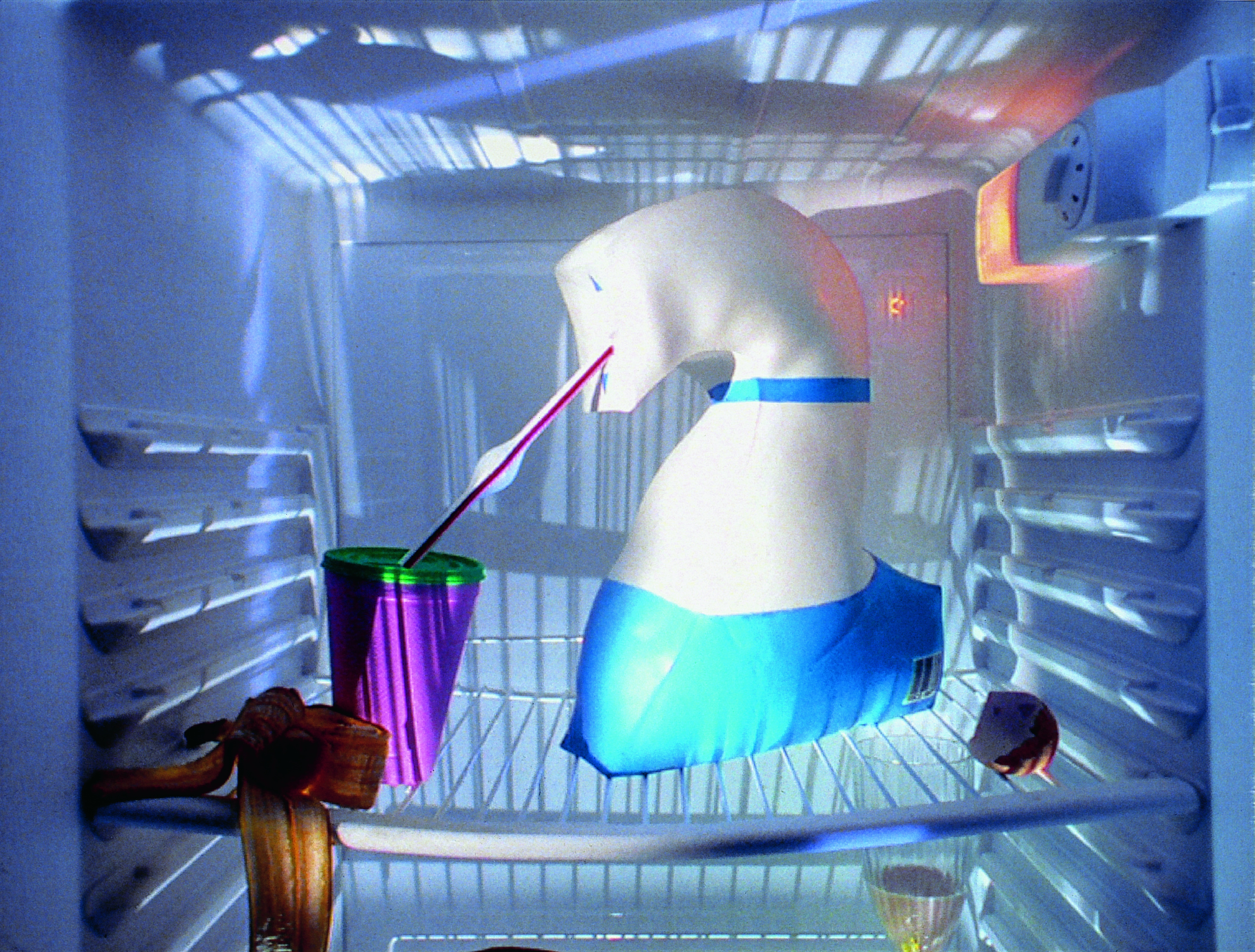 BBC2 Fridge