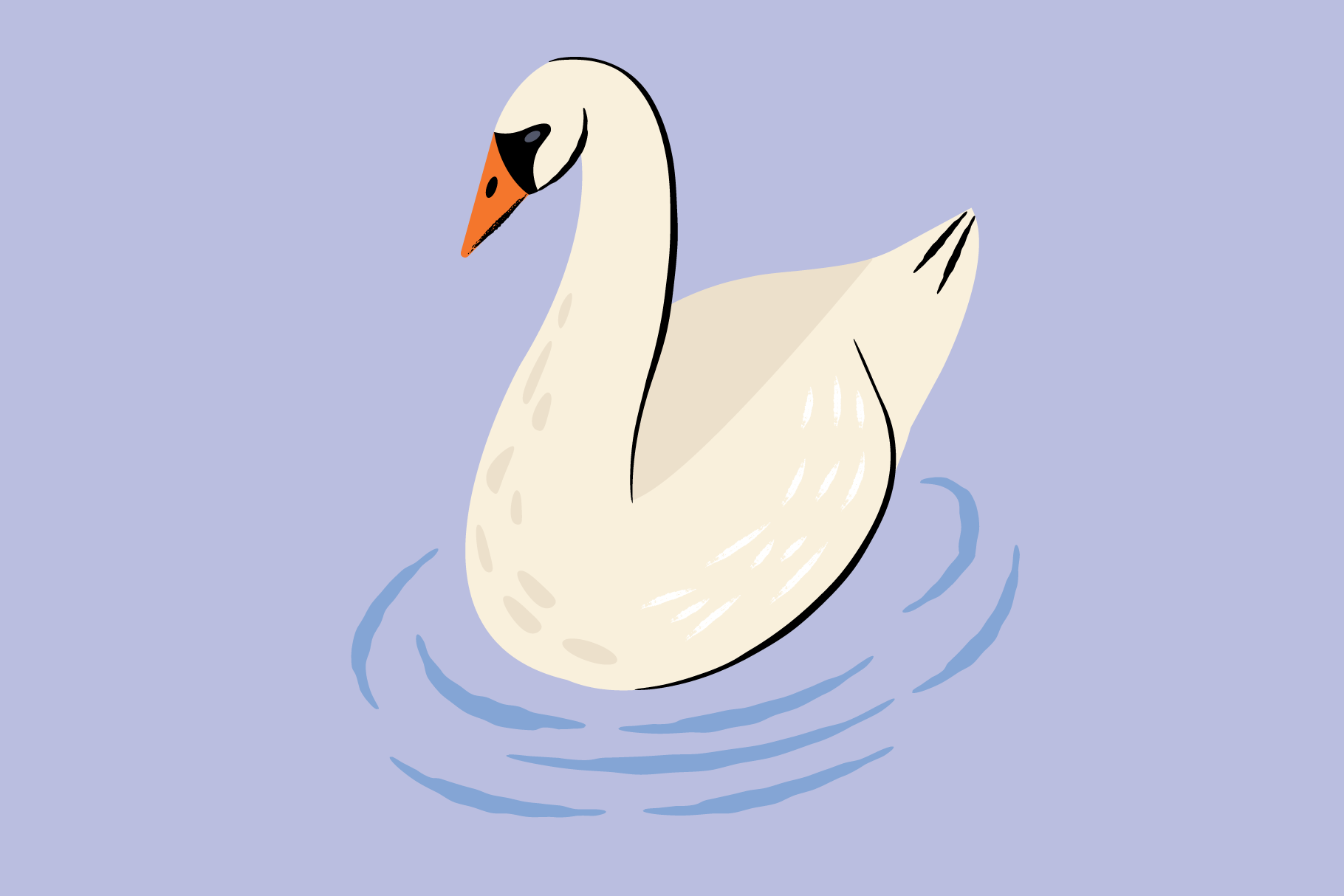 Swan