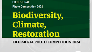 Participate in the CIFOR-ICRAF Photo Competition 2024