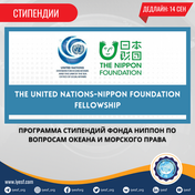 Подайте заявку на стипендиальную программу ООН - The Nippon Foundation