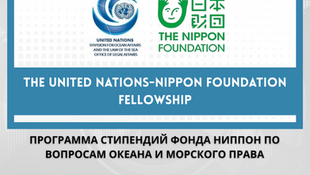 Подайте заявку на стипендиальную программу ООН - The Nippon Foundation