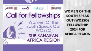 Women of the South Speak Out (WOSSO) Fellowship 2024 for Africa Region