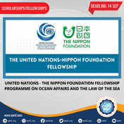 Apply for the United Nations - The Nippon Foundation Fellowship Programme