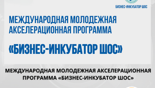 Подать заявку на участие в Международной программе акселерации молодежи «Бизнес-инкубатор ШОС»