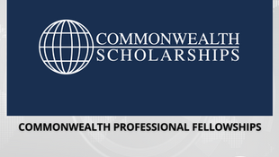 Applications are Now Open for the Commonwealth Professional Fellowships