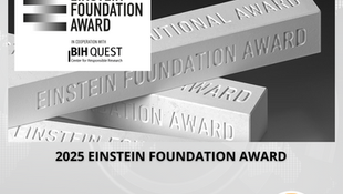 Submissions are Open for the 2025 Einstein Foundation Award