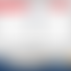 Apply for the Westerwelle Foundation's International Fellowship "Young Founders Programme"