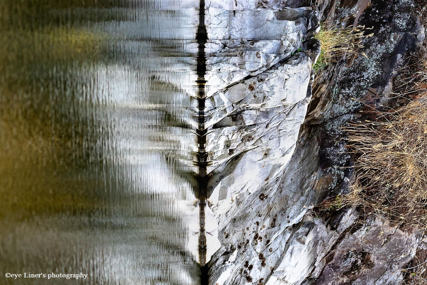 Vinciane Liners exploratrice de l'invisible photographie les Esprits de la Nature, www.vincianeliners.com exploratrice de l'invisible