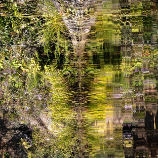 Vinciane Liners
Photographe d'Art Spirit et Géobiologue en Haute-Loire
Harmonisation de l'Être et des Lieux
Soins énergétiques
Saint Privat d'Allier
Auvergne Rhône Alpes