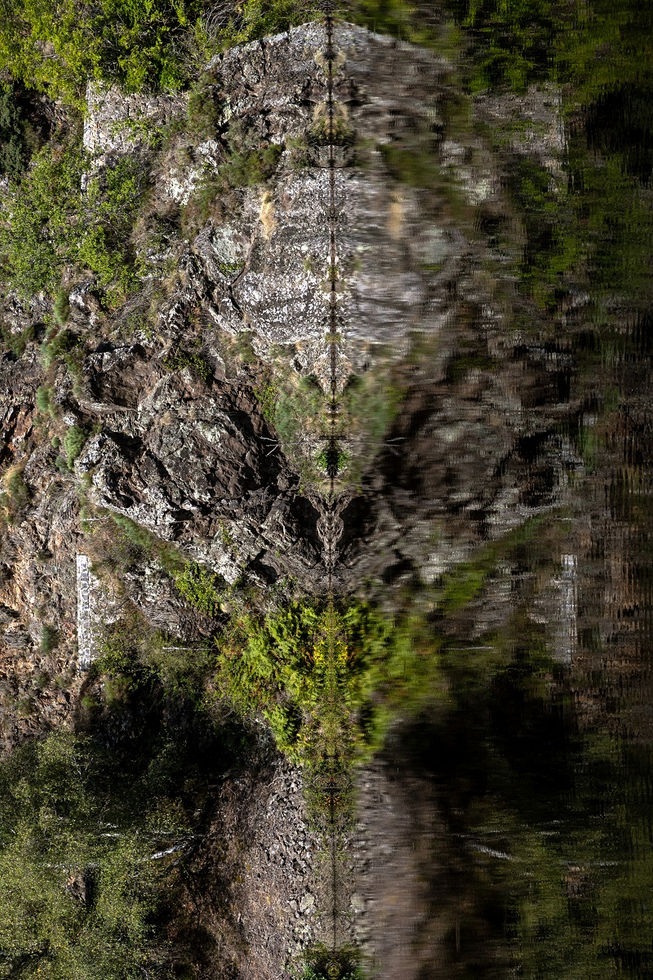 Vinciane Liners exploratrice de l'invisible photographie les Esprits de la Nature, www.vincianeliners.com exploratrice de l'invisible