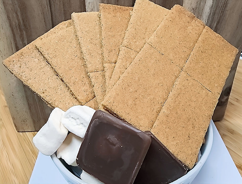 Low Carb Protein Graham Crackers