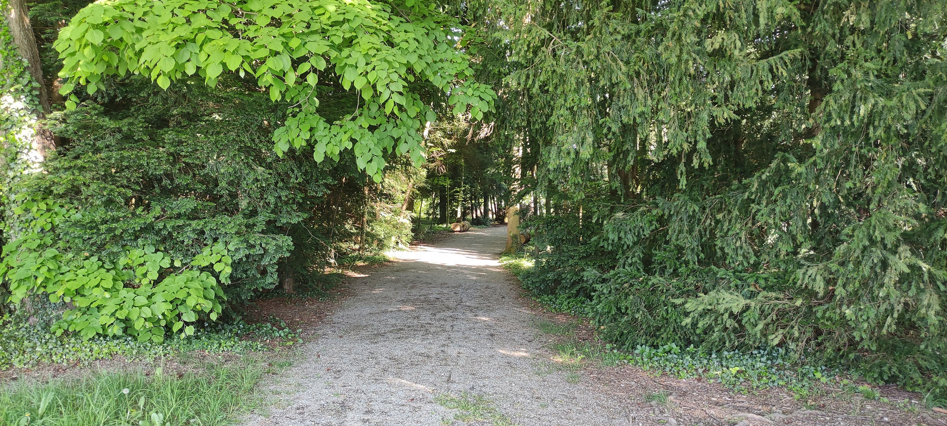 Weg im Schadaupark