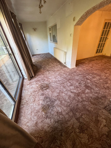 Empty room with brown carpet and white walls, natural light Black Country Clear.
