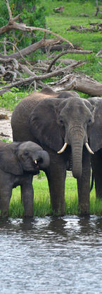 Kanane BWB 00058.JPG