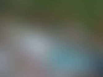 «Η Φυλή κοιμάται» λένε στο Γραμματικό!