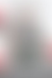 Jacques “Jay” Schaub