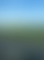 Oh, The Places You'll Go- New Plymouth