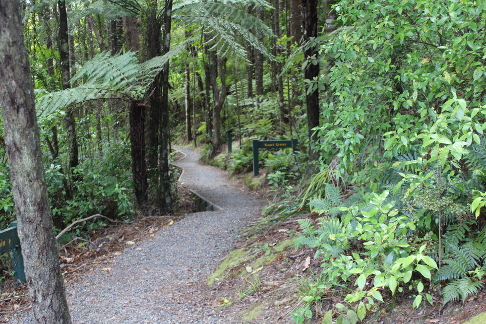 Oh, The Places You'll Go!