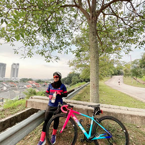 ELVES Avari Bike--Custom Paint