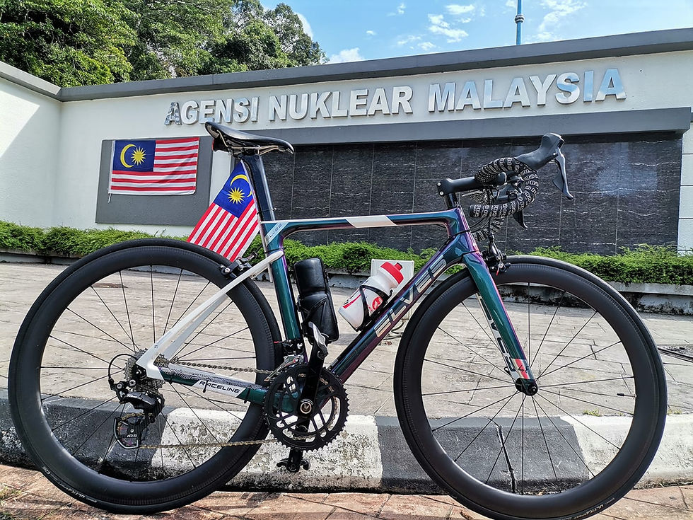 ELVES Quendi Road Bike