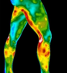 Lower body.png