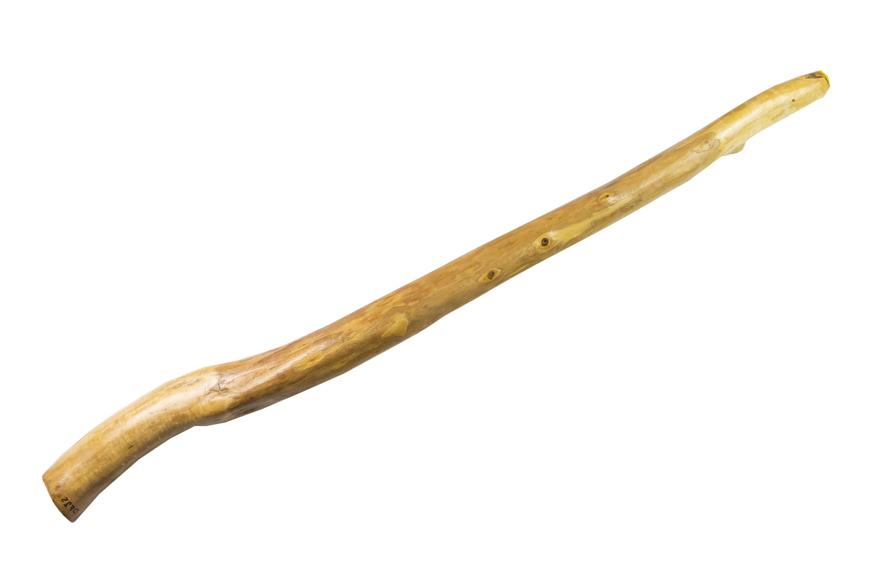 Bloodwood Eucalyptus DFC2452