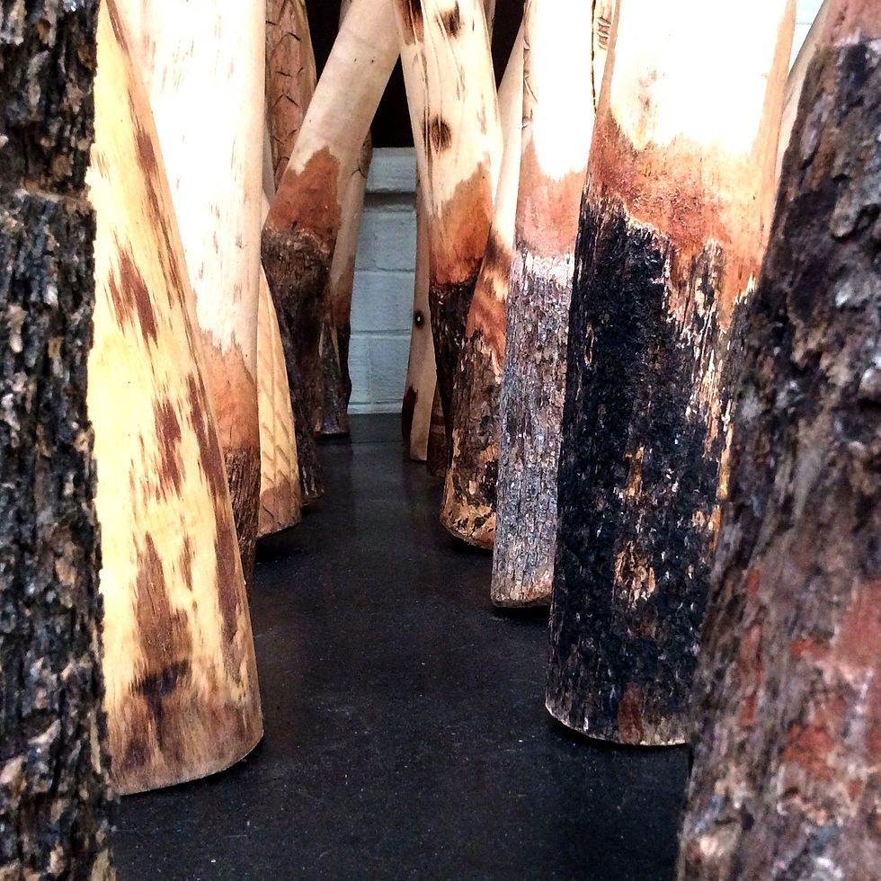 Didgeridoo Shop Brisbane