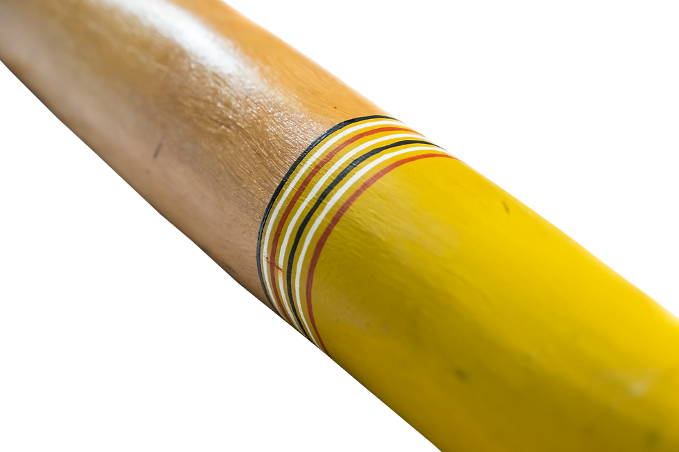 Thumbnail: Stringy Bark Eucalyptus DFY113 - Yidaki NT