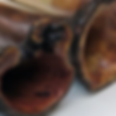 Didgeridoo Shop brisbane is located in Bellbird Park Queensland, Australia