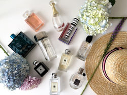 perfume+stash+2+(1+of+1)