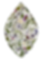 IMG_5129_edited.png
