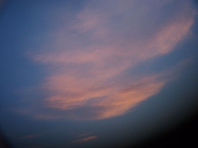 9E988D61-1AEC-4B77-8196-799E7413B50D_1_105_c.jpeg