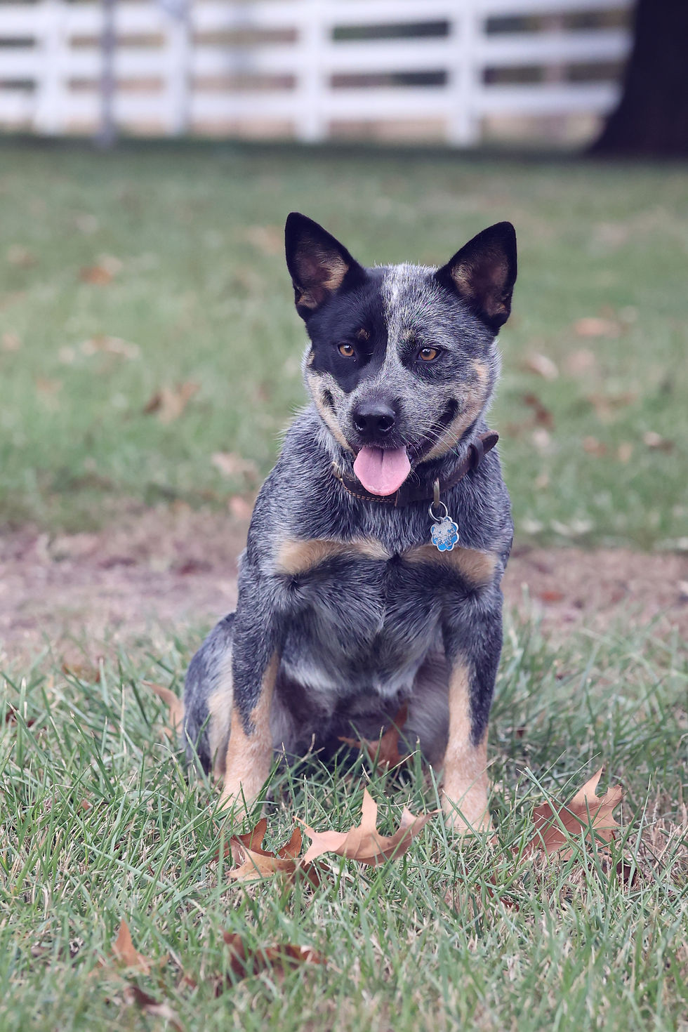 Spader N Clarjos Vintage Blue Note.jpg