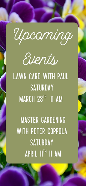 Thank you for another great year!-8.png