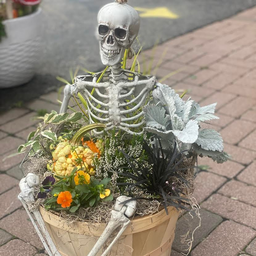 Spooky, Scary Skeleton Planter