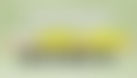 【東京都】板橋区赤塚新町の不動産　高額売却・高額買取なら