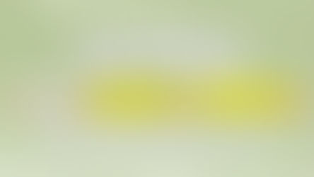 【東京都】板橋区東新町の不動産　高額売却・高額買取なら