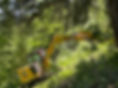 IMG_1045.jpeg