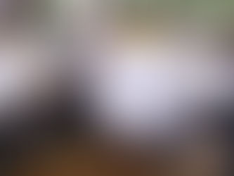 *Tree Plantation Drive Strengthens Mumbai’s Green Cover in Aarey Colony Goregaon East*
In a strong push for environmental conservation, Ashish Social Foundation and Samvedana Foundation, in associati