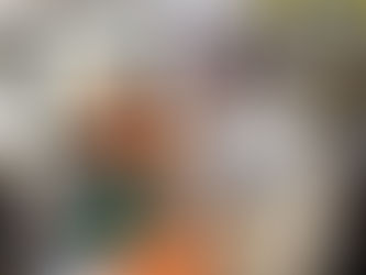 वर्सोवा विधानसभेच्या माजी आमदार डॉ. भारती लव्हेकर यांची धडक कामगार युनियन चे संस्थापक महासचिव कामगार नेते अभिजीत राणे यांनी सदिच्छा भेट घेतली यावेळी भारती लव्हेकर यांनी अभिजीत राणे यांना 8 नोव्हेंबर र