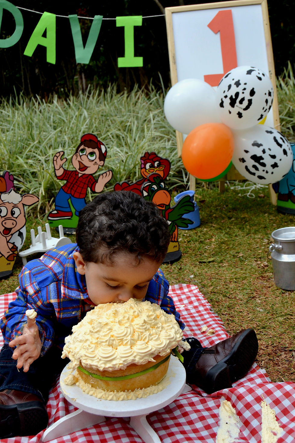DAVI SMASH THE CAKE (121)