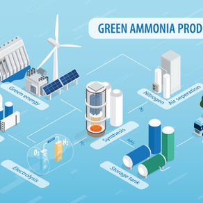 هل يمكن إنشاء مجمع إقليمي للأسمدة الخضراء في منطقة الجوف لتنمية مستدامة؟