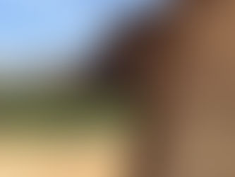 AlUla – When Travel Becomes a Philosophical Exercise Toward Sustainability