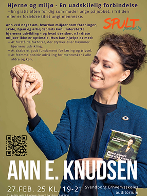 Din afsnitstekst.png