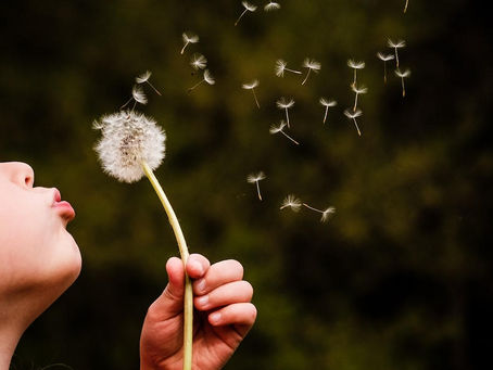 Tuesday Thoughts and New Year Resolutions