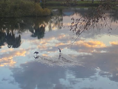 Tuesday Thoughts And Pause